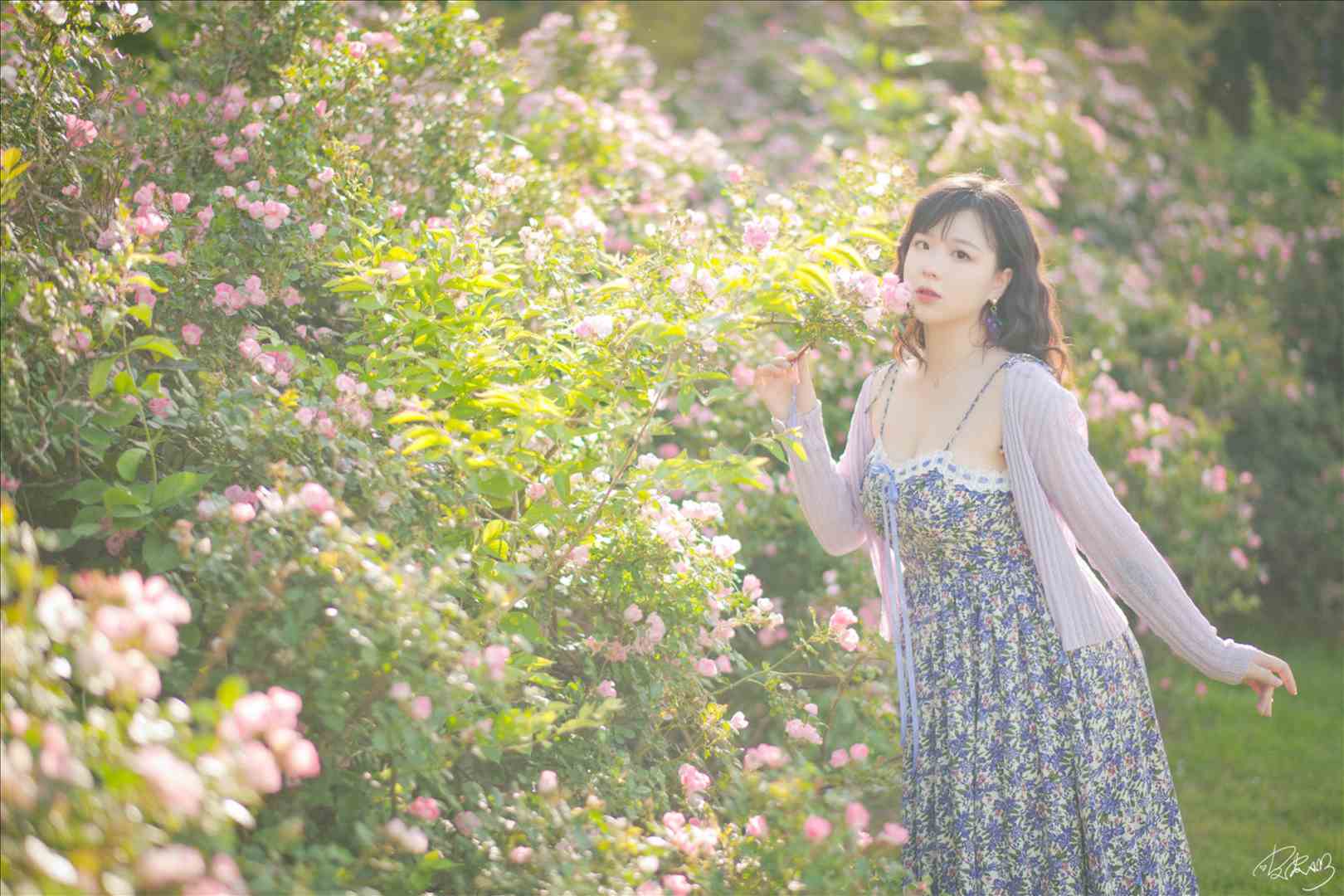 肉感甜心@皮皮奶可可爱了啦 蔷薇花[37P-787.6M]